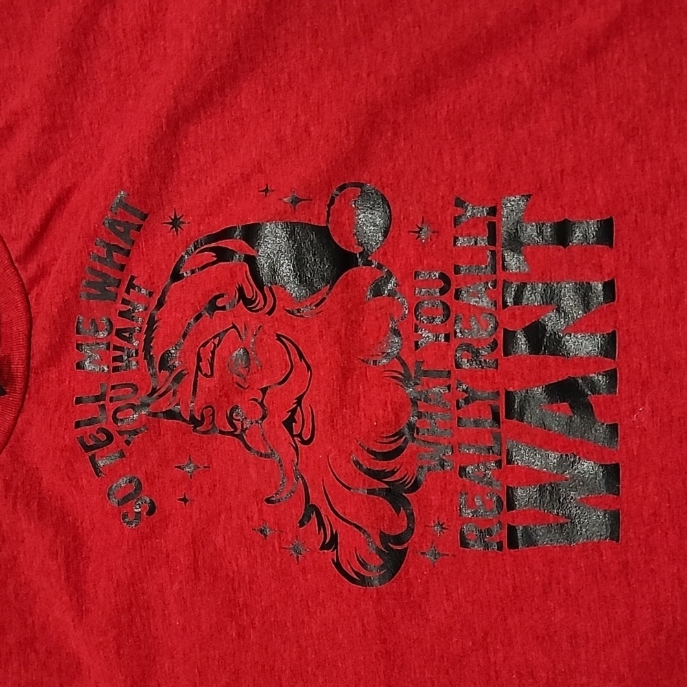 🚨 "So tell me what you want what you really really want" Santa Christmas T…